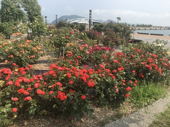 まだ大丈夫かな