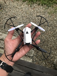 飛鳥Ⅱ をドローンで