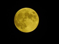 13.3夜
