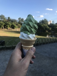 紅葉に微力ながら協力