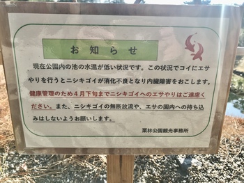 鯉餌やり出来ません