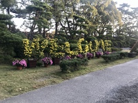 最高の状態なのに残念