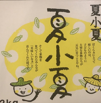 おおぐしさんちのです
