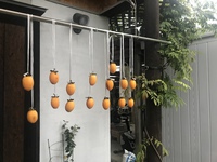 欲しい柿