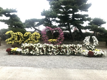 今日の公園