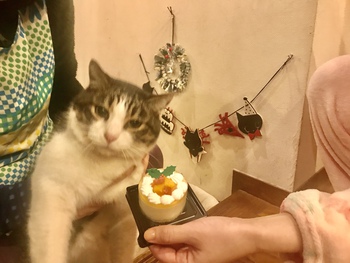 MJのクリスマスケーキ