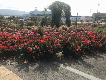 まだ大丈夫かな