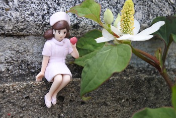 花とふちこ