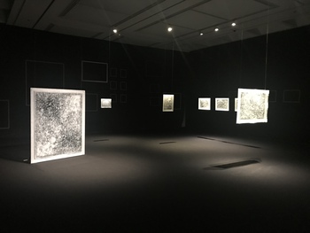 瀬戸芸参加作品展に行きました。
