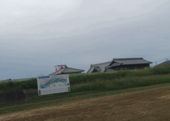 飛んで飛んで回って