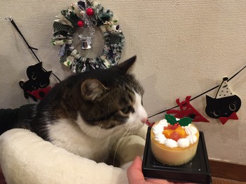 MJのクリスマスケーキ
