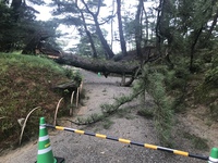 驚き お得  お笑 栗林公園