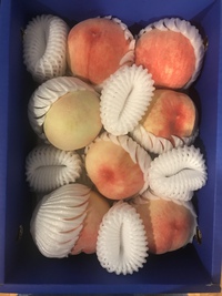 美味しい桃が欲しい