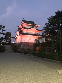 滅多にお目にかかれない
