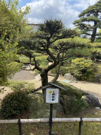 玉藻公園のポスターが良い