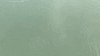 アスリート達