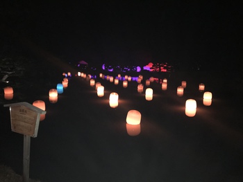 チームラボ光の祭