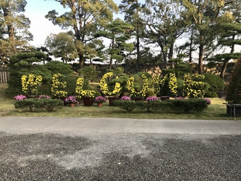 最高の状態なのに残念