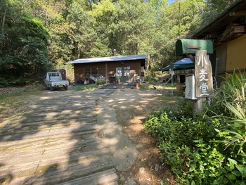 小麦堂の猫達