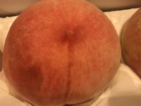 もっと美味しいのが欲しい