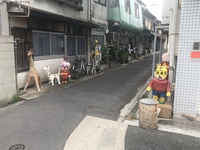 これは パラダイス？横丁