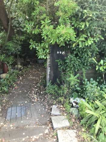 渡り鳥の行った先は