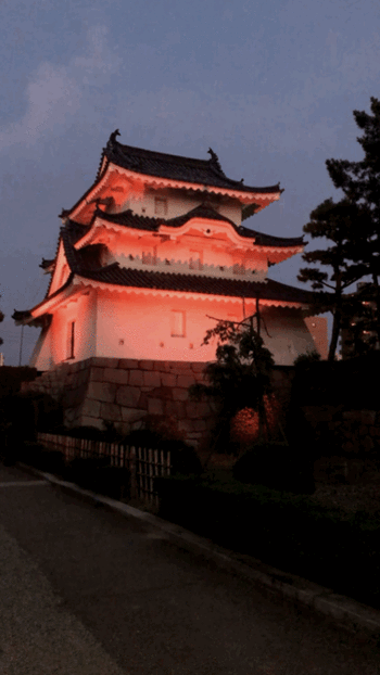 滅多にお目にかかれない