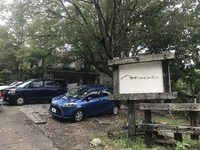 やっと行けました  ひるの