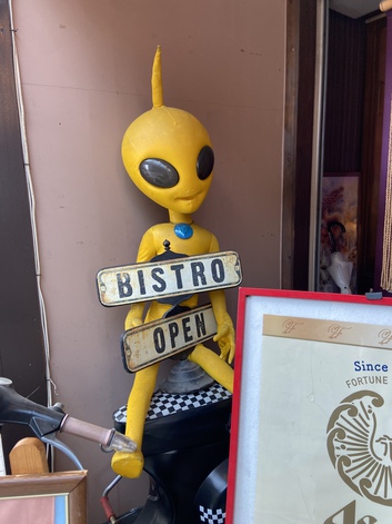遂に宇宙人に捕まったドン