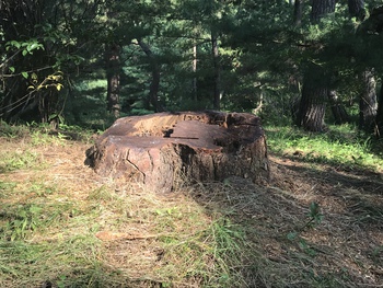 栗林公園の灰皿知ってる？