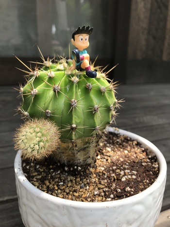 もっと明るく元気にしたい
