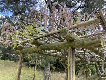 明日から休園の栗林公園