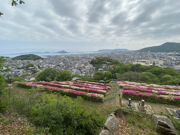あの花畑はなんだ？