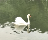 それを そうやって食べる？
