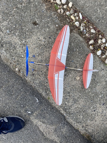 竹肥後飛行機