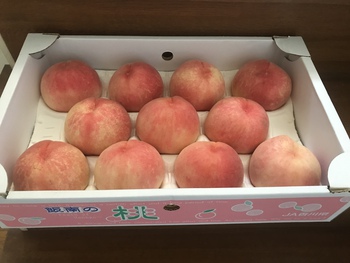 もっと美味しいのが欲しい