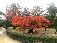 今日の公園