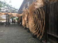 台風一過  瀬戸芸アートは