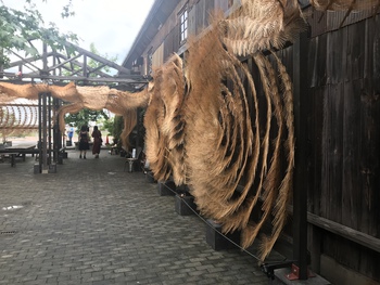 台風一過  瀬戸芸アートは
