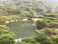 栗林公園 高級食材