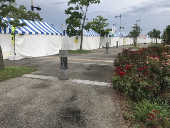 強者どもの夢の跡