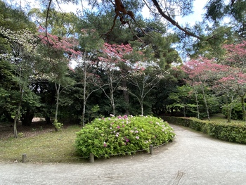 明日から休園の栗林公園