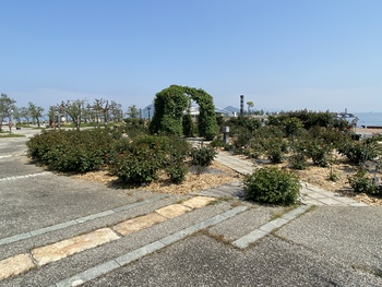 散歩とバラ園