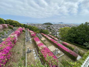 あの花畑はなんだ？