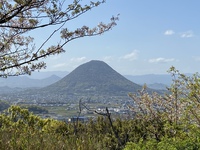聖通寺山キリンになって