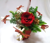 ２０１１★クリスマスアレンジ★