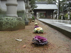 人生の師