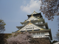 幕末の写真発見！