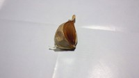 黒ニンニクの納豆ごはん、めちゃ美味い！