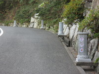 お久し振りです～。